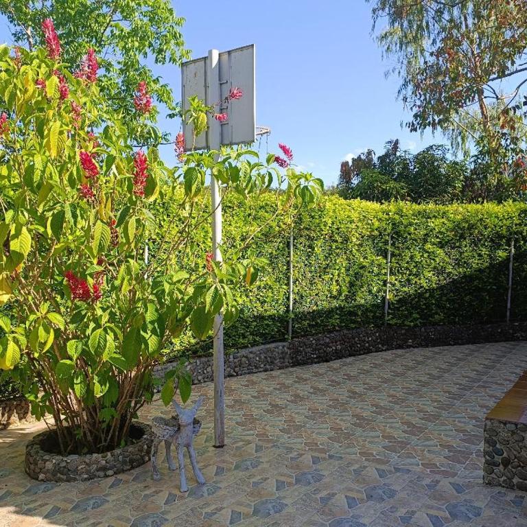 Minca to dream - Two-Bedroom House - 4
