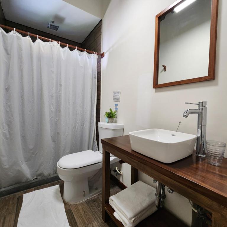 Torre Yaxche Urban Center - Habitación Doble - 1 o 2 camas - 1