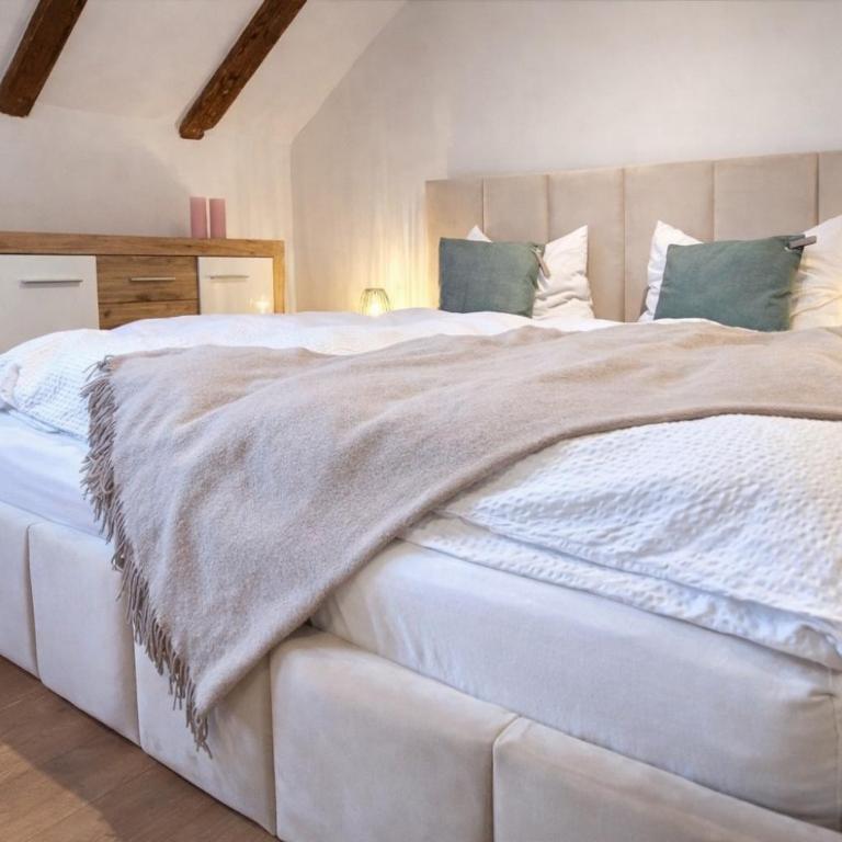 APARTMENTS zum Wohlfühlen MARIAZELL - Penthouse - 5