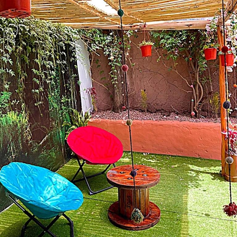 Authentic Peruvian home with gorgeous patio - One-Bedroom House - 17