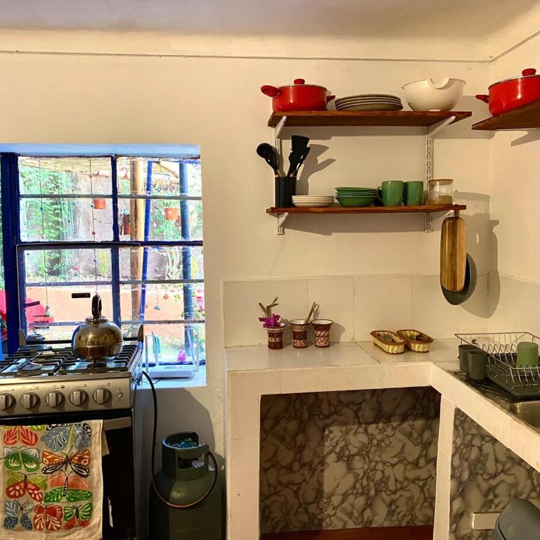 Authentic Peruvian home with gorgeous patio - One-Bedroom House - 19