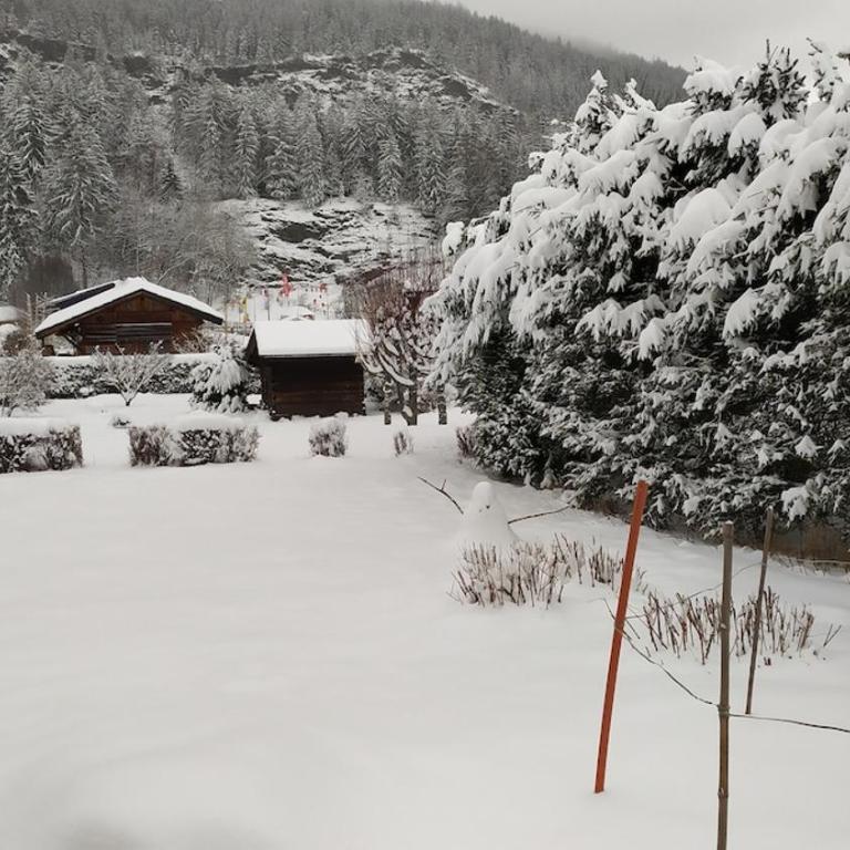 Savoyard chalet 6pers exceptional view - Chalet 3 Chambres - 16