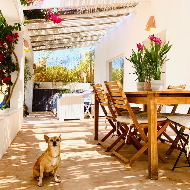 Casa Flor de la Vida By DelucaCo - Casa de 3 dormitorios - 45