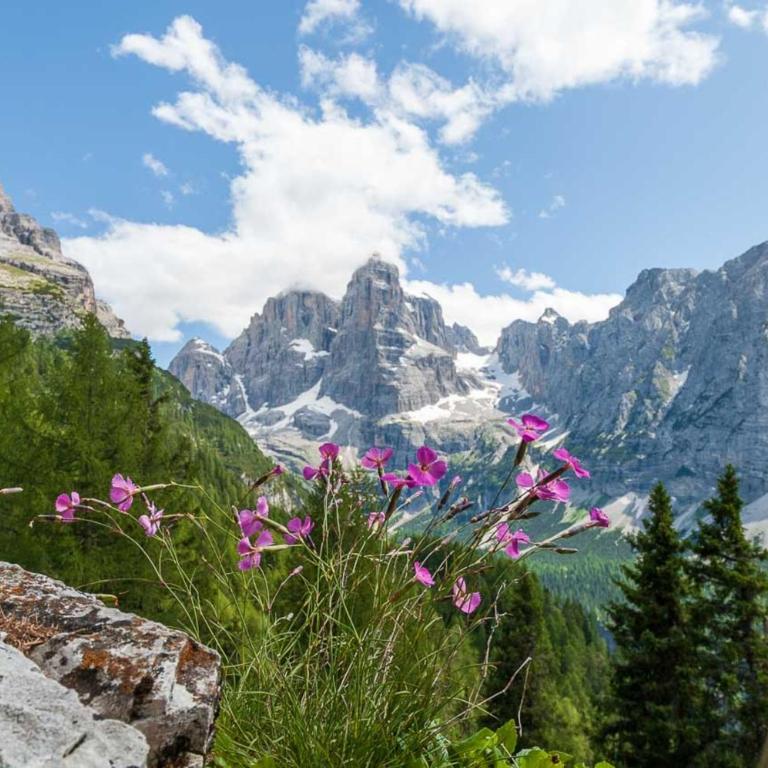 Appartamento Brenta - Apartment mit 2 Schlafzimmern - 1