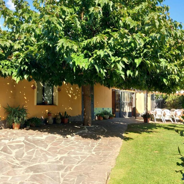 Lucca Country Escape - Private Pool & Garden - Villa - 3