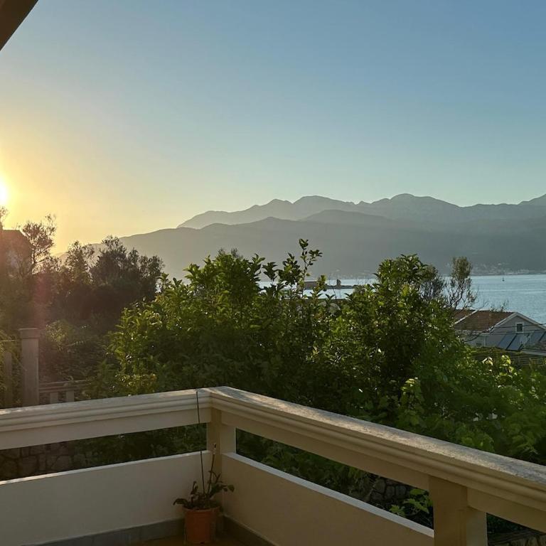 Maslina Krtoli - Apartman sa 1 Spavaćom Sobom - 4