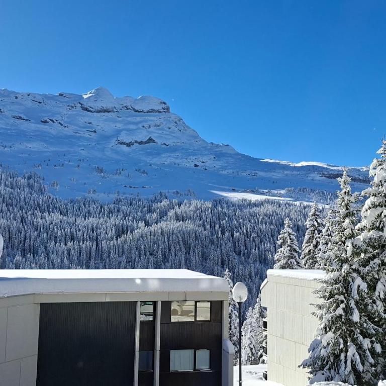 Appartement Flaine Forêt - Studio Sud - 17