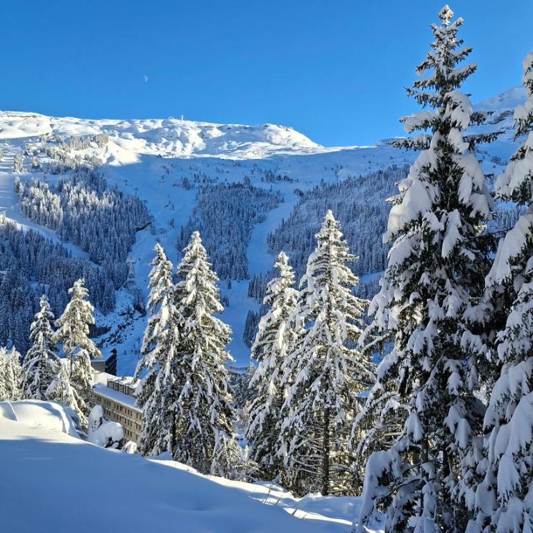 Appartement Flaine Forêt - Studio Sud - 19