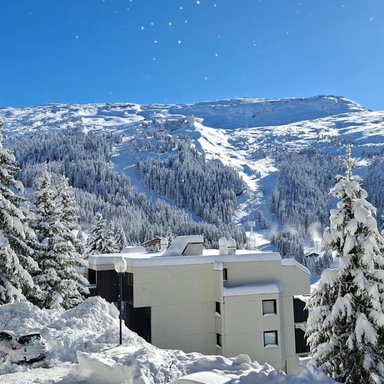 Appartement Flaine Forêt - Studio Sud - 20