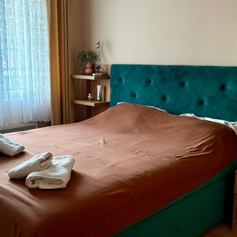 Feniks Apartmani Zlatibor - Classic One-Bedroom Apartment with King Bed - 13