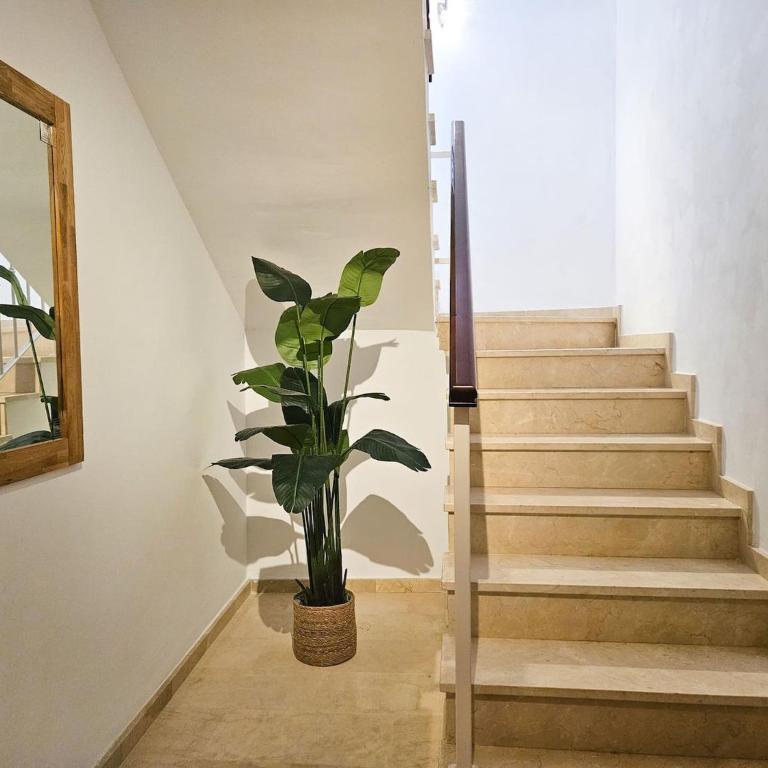 5 bed villa with pool in Cerros de Aguila - Villa con piscina privada - 40