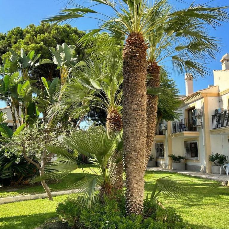 Apartamento en Vera Playa con piscina junto al Mar - Apartamento de 1 dormitorio - 20
