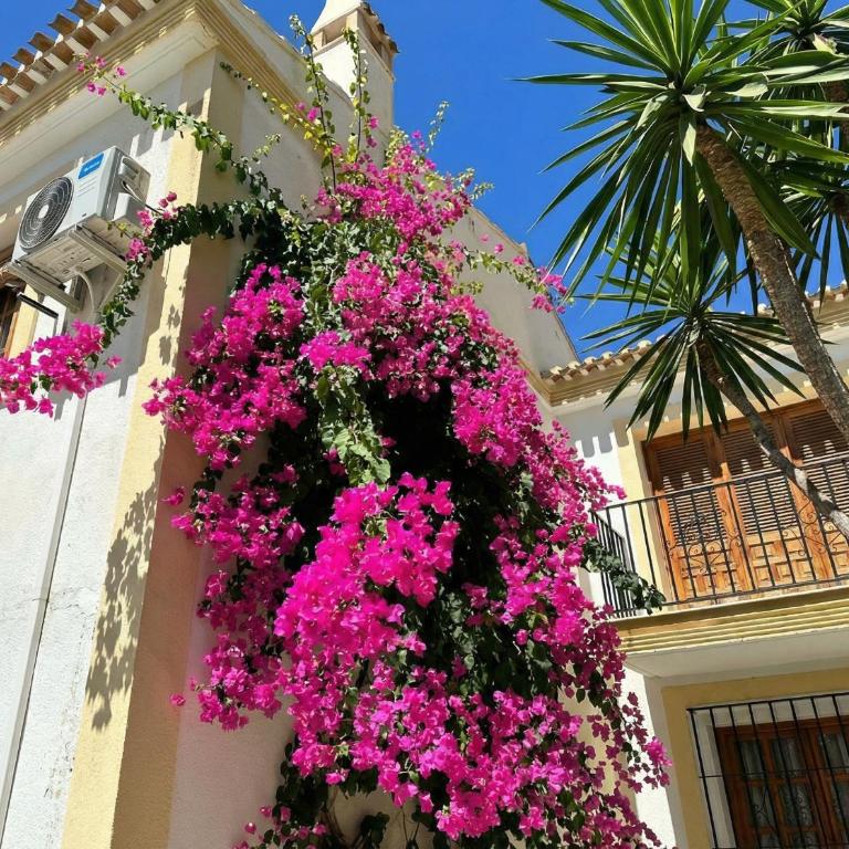Apartamento en Vera Playa con piscina junto al Mar - Apartamento de 1 dormitorio - 22
