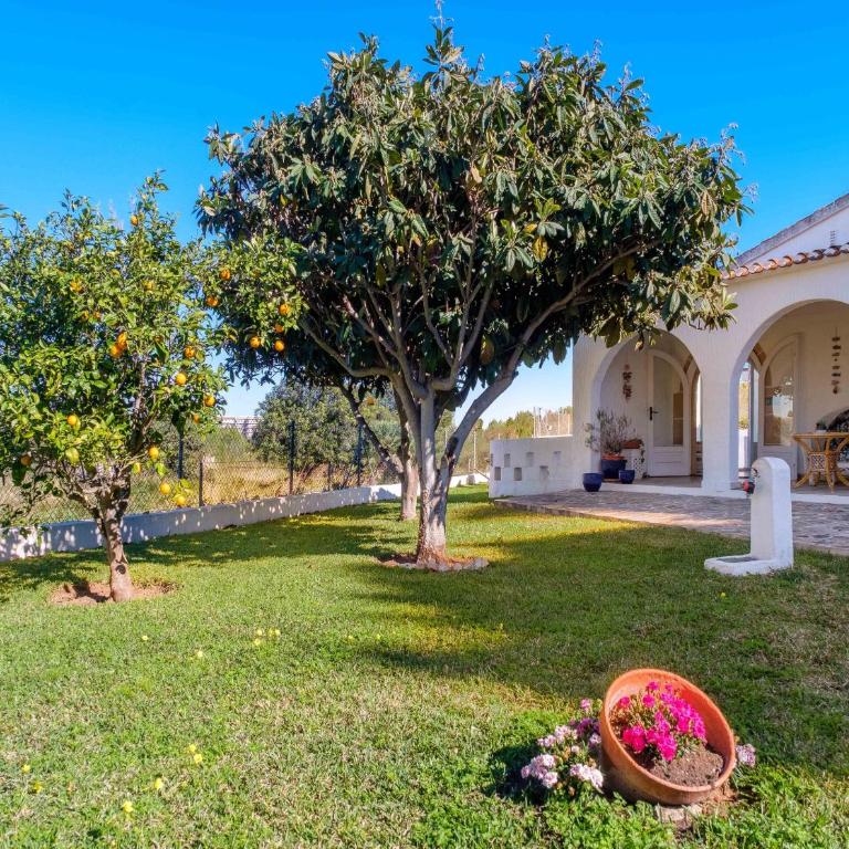La Casita del Saladar Javea by Rock Rentals - Villa con piscina privada - 25