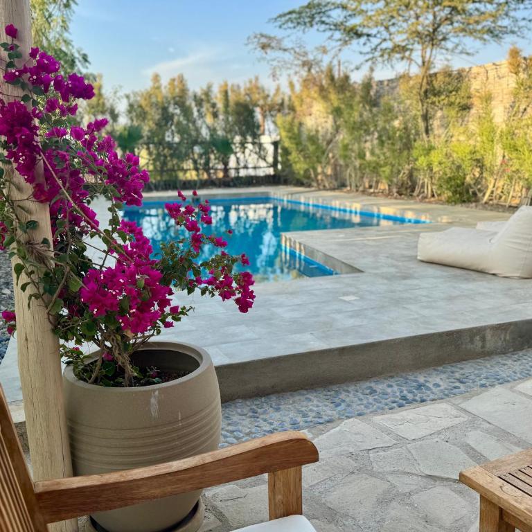 Casa Morena, Los Órganos - Villa with Private Pool - 12