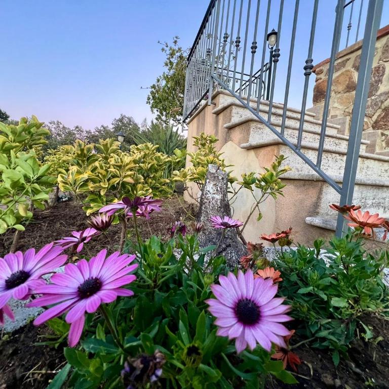 Sea Terrace Resort - Appartamento Deluxe con 2 Camere da Letto e Vista Giardino - 12