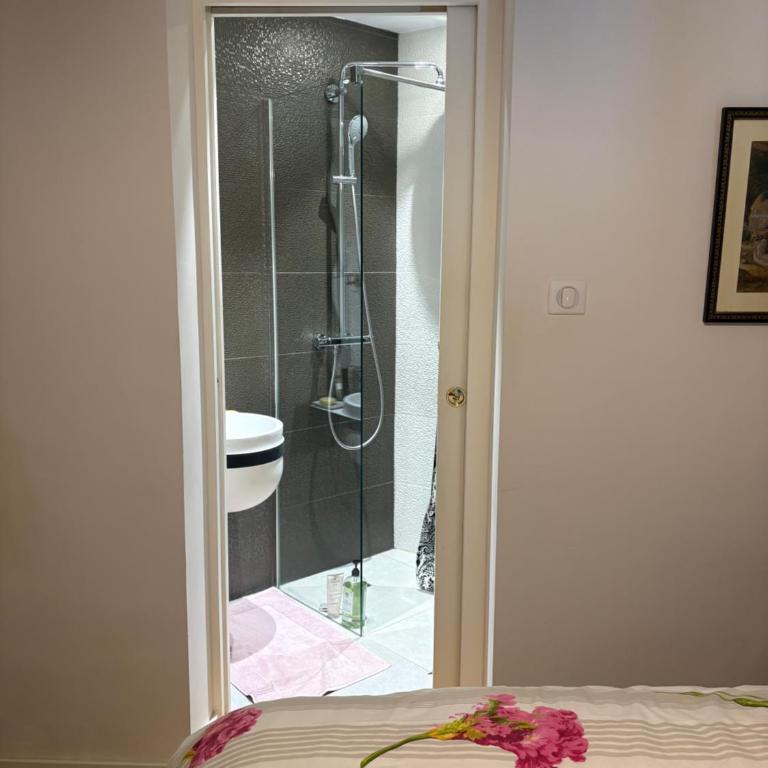 Grand appartement, terrasse, centre-ville - Appartement 1 Chambre - 29