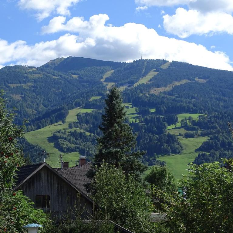 Ferienwohnung Schönauer - Apartment mit 2 Schlafzimmern - 19