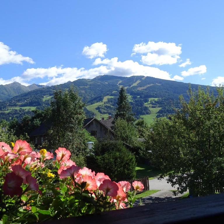 Ferienwohnung Schönauer - Apartment mit 2 Schlafzimmern - 20
