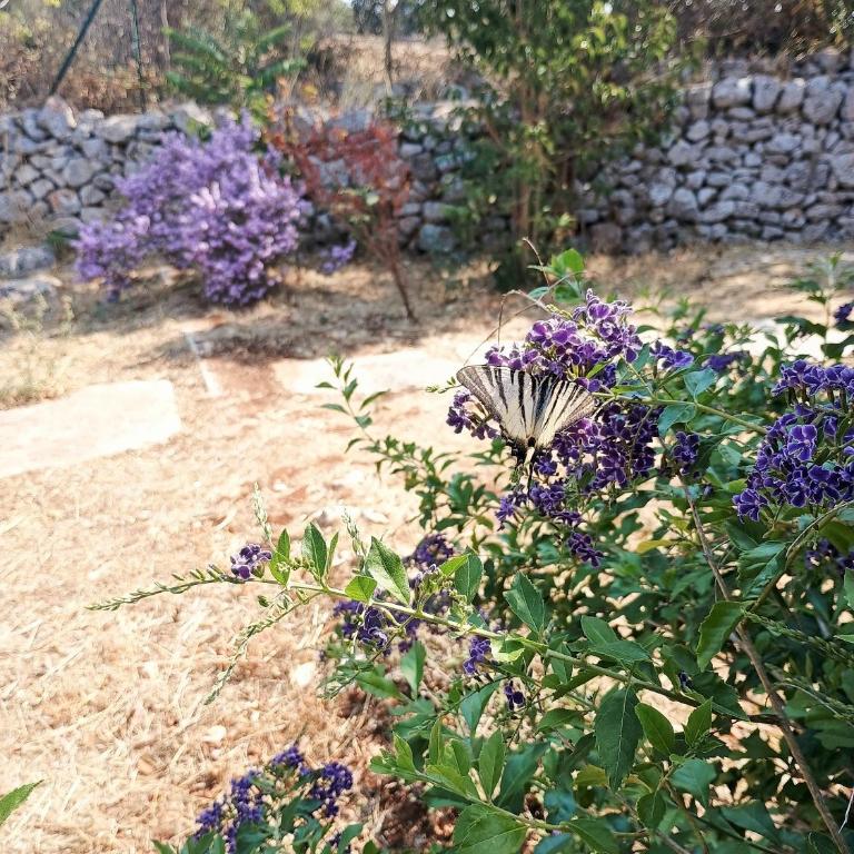 La Specchia - Dimore in natura - Appartamento con 1 Camera da Letto - 42