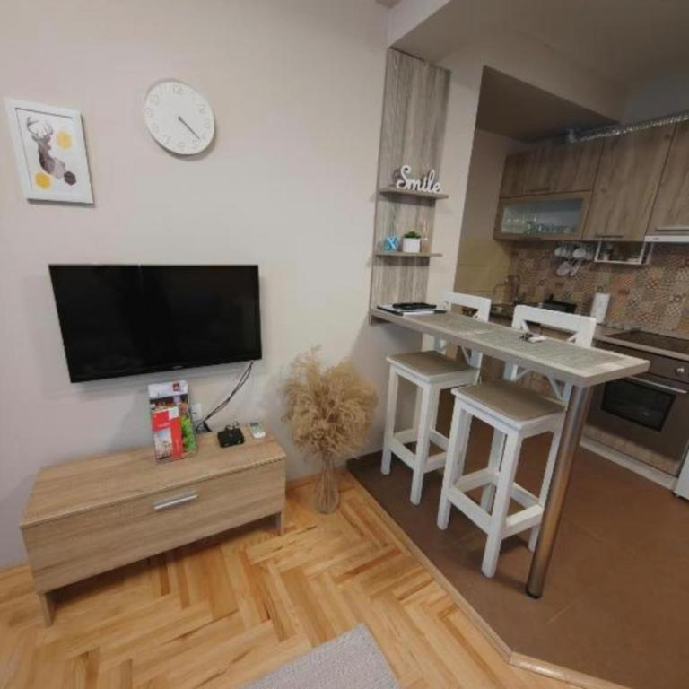 Apartmani Krstić - One-Bedroom Apartment - 1