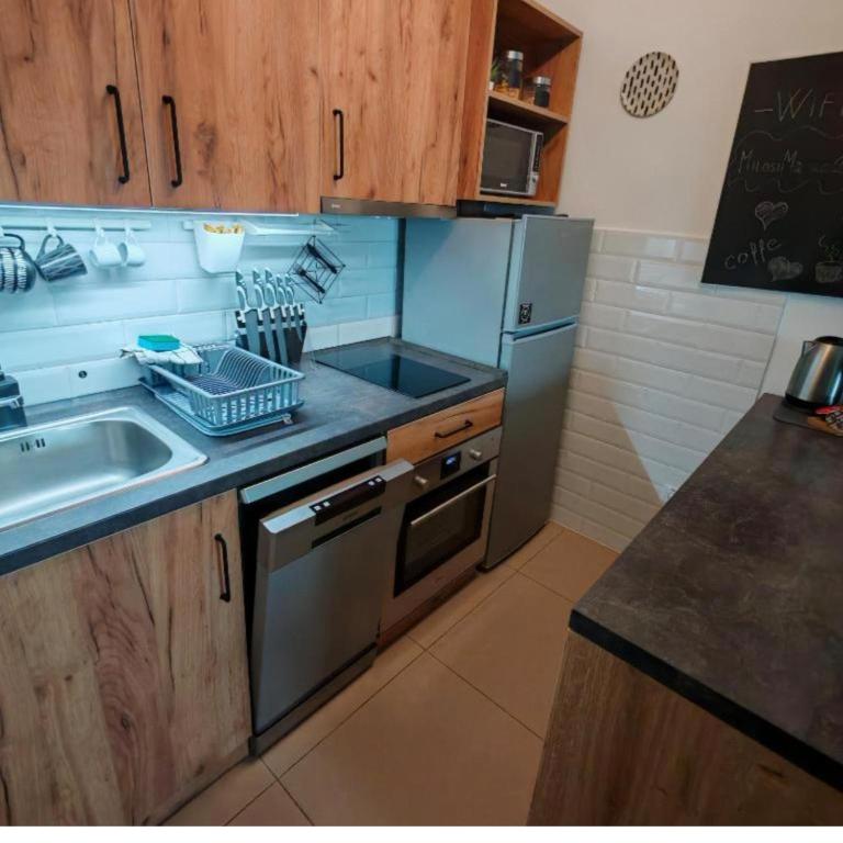 Apartmani Krstić - One-Bedroom Apartment - 12
