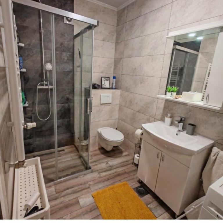 Apartmani Krstić - One-Bedroom Apartment - 14