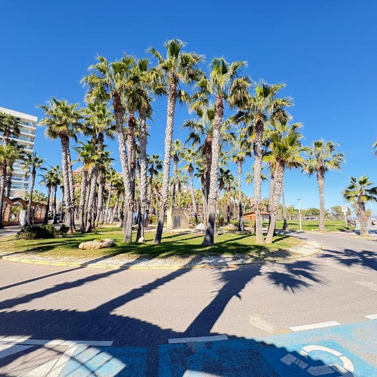 ACV - Isla Park-1ª Linea Planta 1 Sur - Apartamento de 2 dormitorios - 33