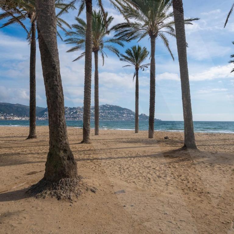 Appartement Bord de Mer Roses Reig 9 by Welhomy - Apartamento de 1 dormitorio - 16