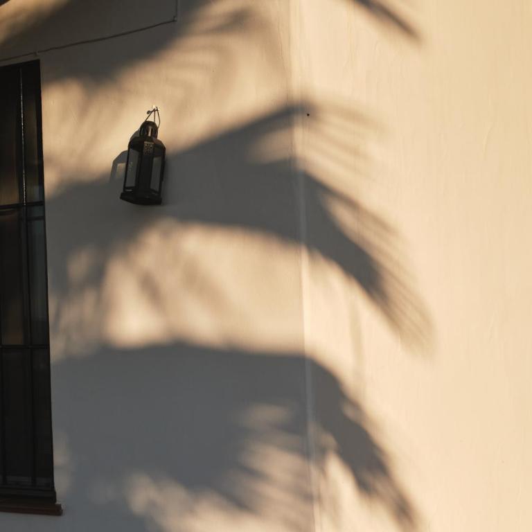 Vela Luka Frigiliana - Casa de 2 dormitorios - 17