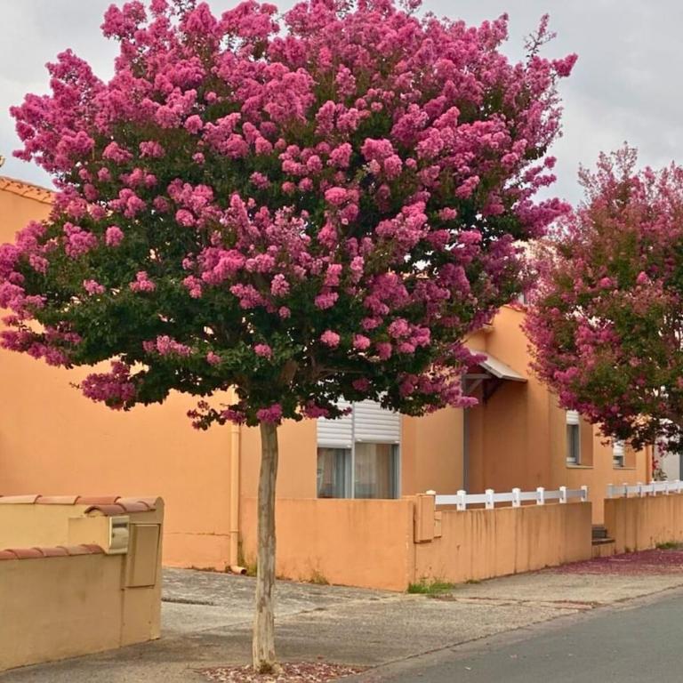 Maison des Lilas - 5 people - WiFi - Enclosed garden - Casa con 2 Camere da Letto - 16