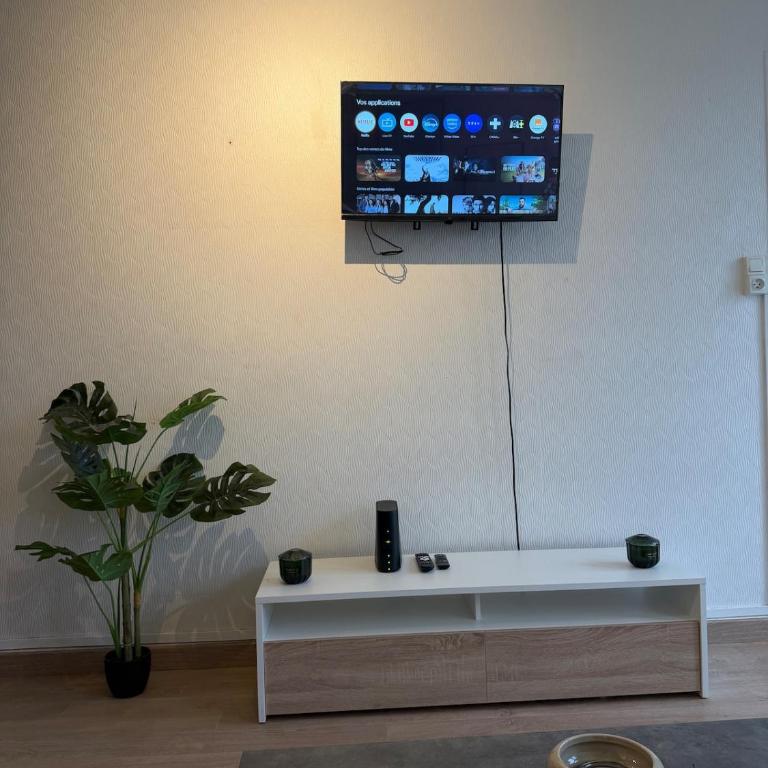Appartement prestigieux et lumineux proche centre ville - Apartment mit 1 Schlafzimmer - 12