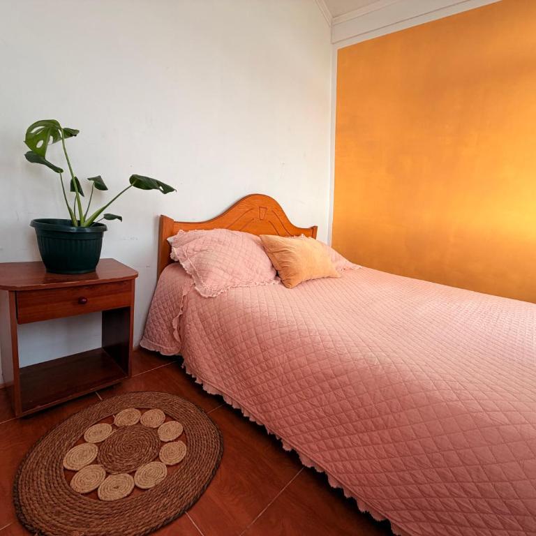 Casa Olivo - Three-Bedroom House - 11