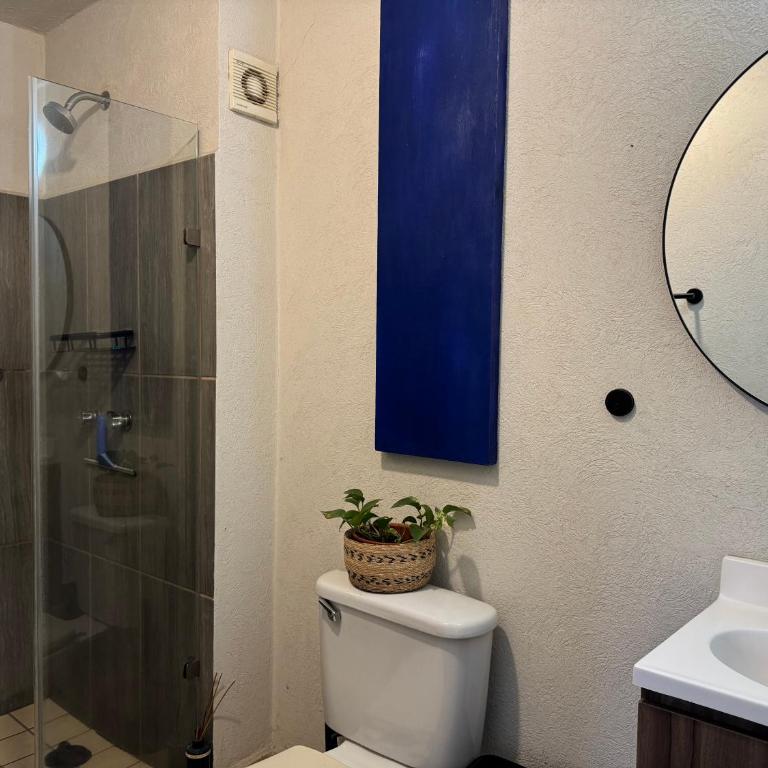 2 rooms with bathroom, 65pulgadas 4K SmartTV Colombian Coffee Gym - Apartamento de 2 dormitorios - 8