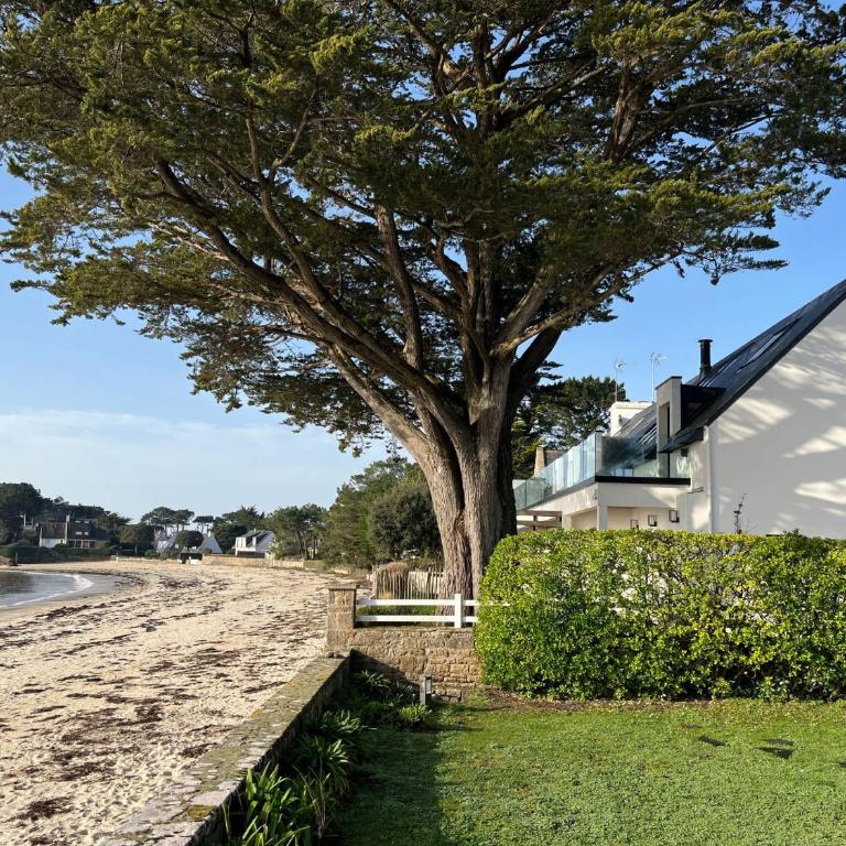 Villa Beaumer - Maison sur la plage -TK60 - Two-Bedroom House - 2