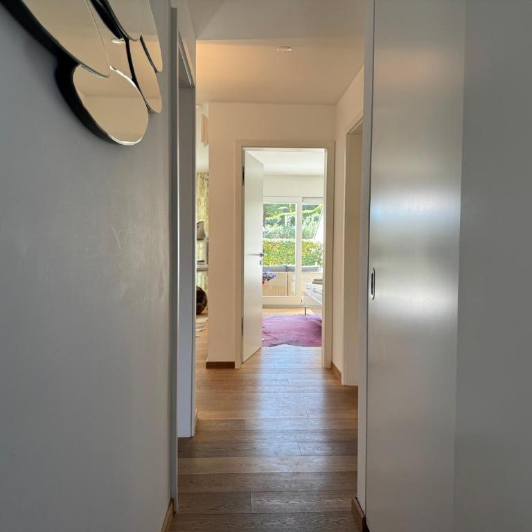 Ascona Monte Verità Apt 1 A - Appartamento con 2 Camere da Letto, Balcone e Terrazza - 27