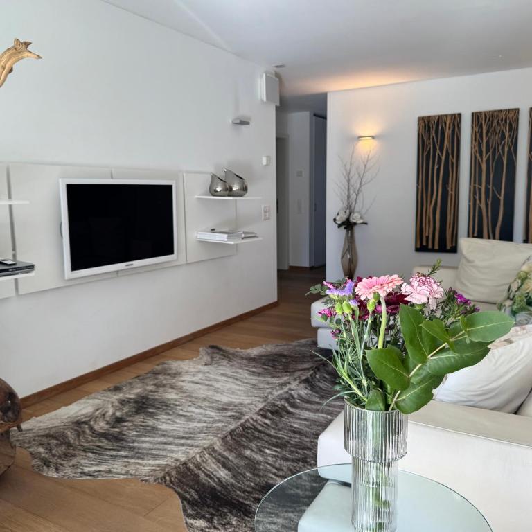 Ascona Monte Verità Apt 1 A - Appartamento con 2 Camere da Letto, Balcone e Terrazza - 6