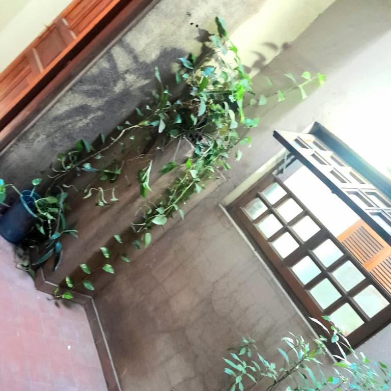 Alquiler temporario céntrico en corrientes capital - Two-Bedroom Apartment - 10
