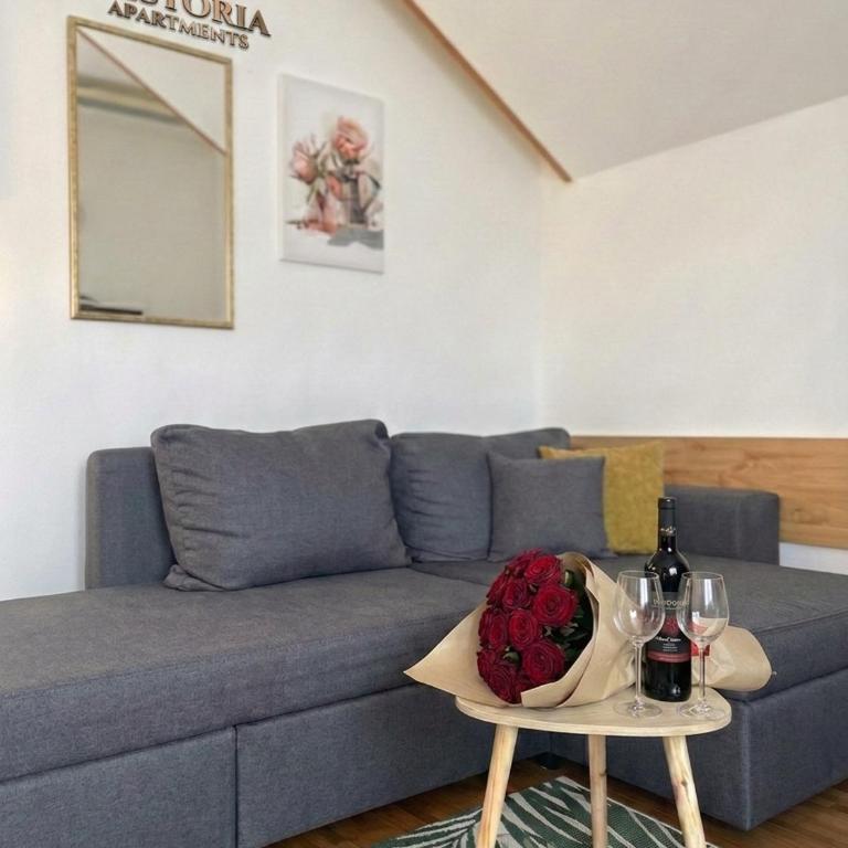 Apartman Nestoria Zlatibor - Apartman sa 1 Spavaćom Sobom - 1