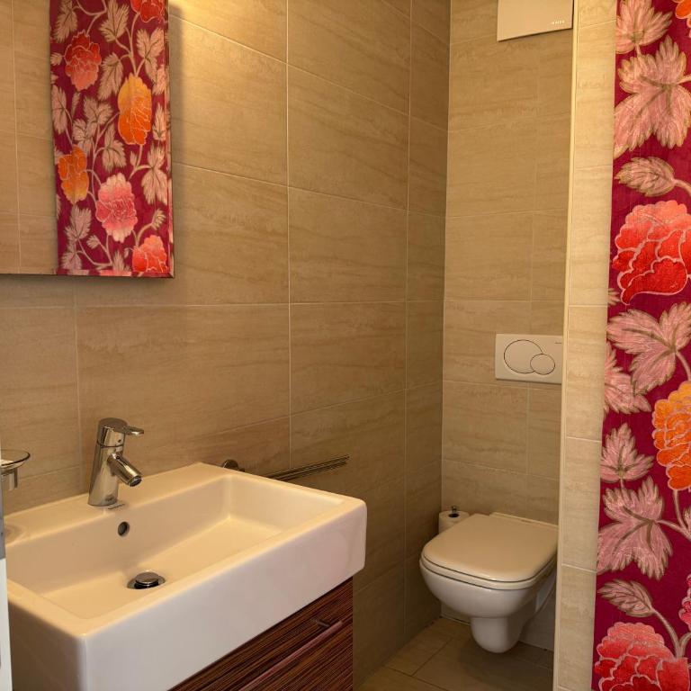 Ascona Monte Verità Apt 1 A - Appartamento con 2 Camere da Letto, Balcone e Terrazza - 30