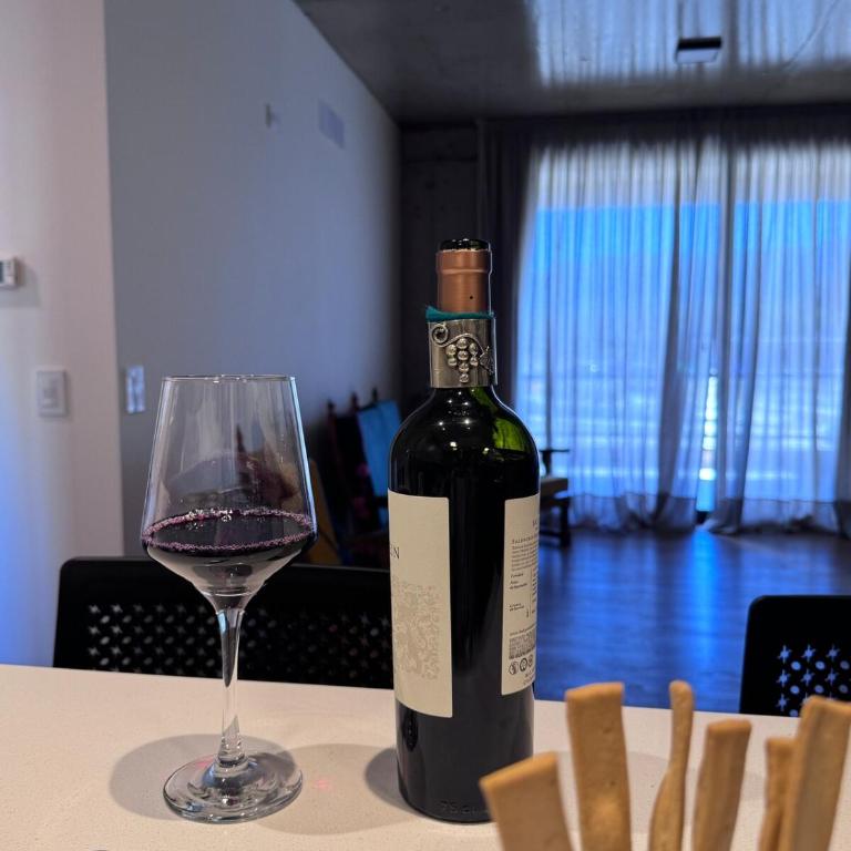 Departamento en barrio privado Vistalba Mendoza - Apartment with Mountain View - 24