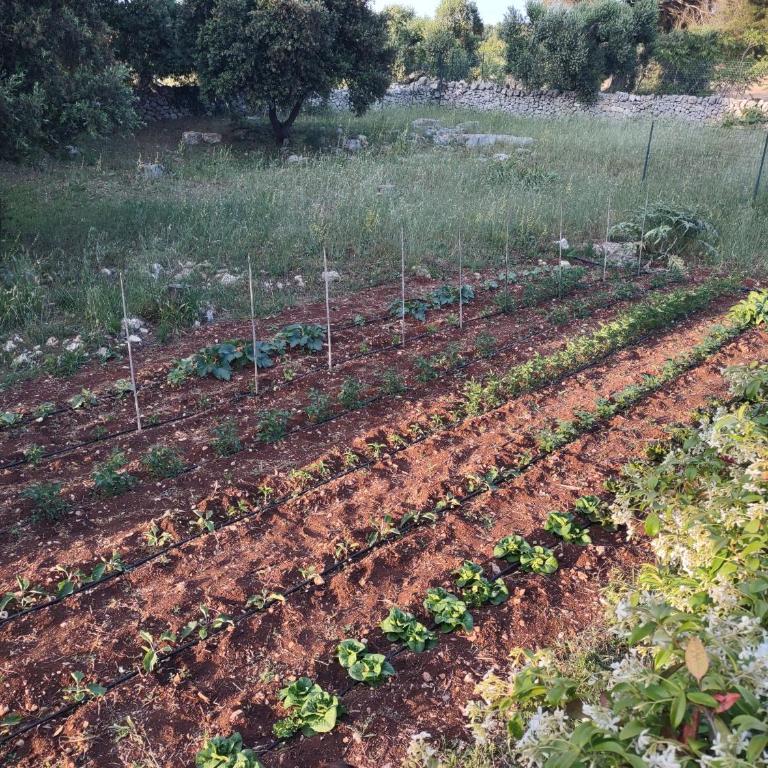 La Specchia - Dimore in natura - Appartamento con 1 Camera da Letto - 43