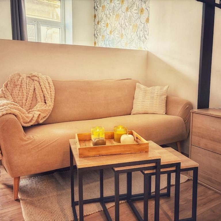 Le Cocon de Rose & Achille - Appartement 1 Chambre - 5