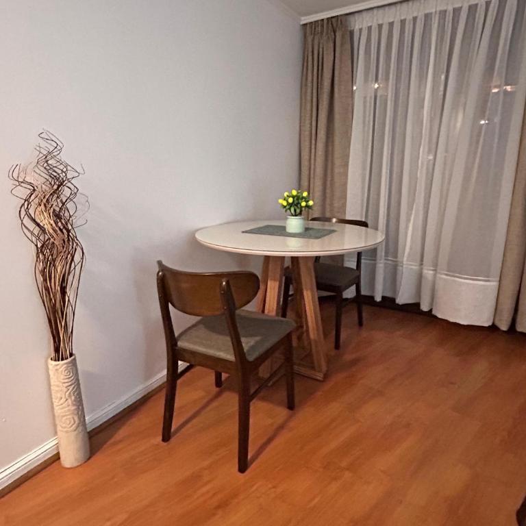 Hermoso apartamento amoblado a pasos del MUT - One-Bedroom Apartment - 14