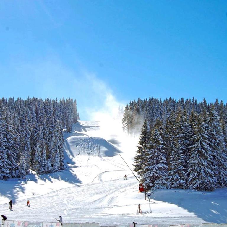 VAB Apartments & SPA, Residence hill, Kopaonik - One-Bedroom Apartment - 55