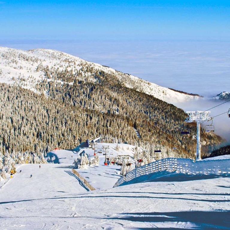 VAB Apartments & SPA, Residence hill, Kopaonik - One-Bedroom Apartment - 60