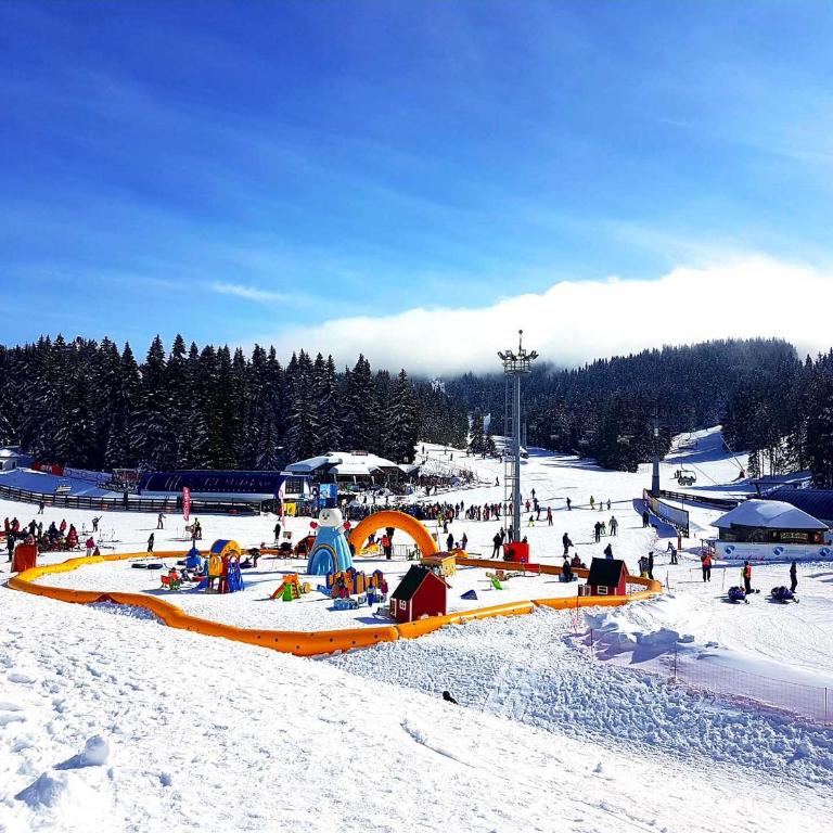 VAB Apartments & SPA, Residence hill, Kopaonik - One-Bedroom Apartment - 57