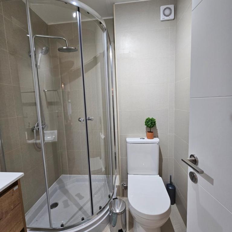 Bello departamento Pucon - Two-Room Apartment - 6