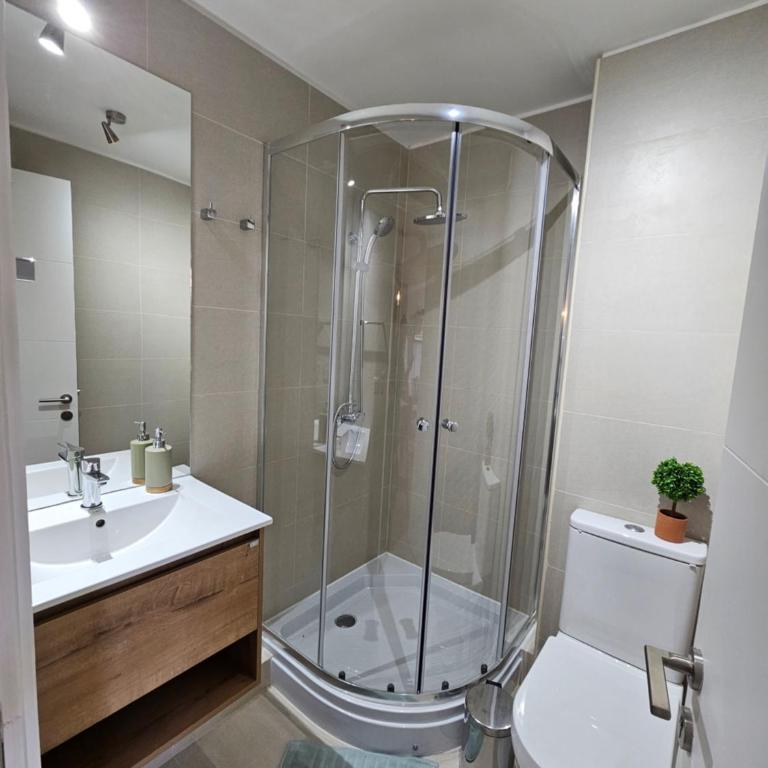 Bello departamento Pucon - Two-Room Apartment - 15