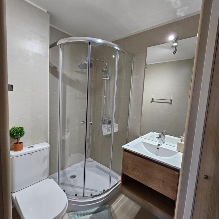 Bello departamento Pucon - Two-Room Apartment - 35